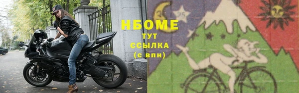 индика Михайловка