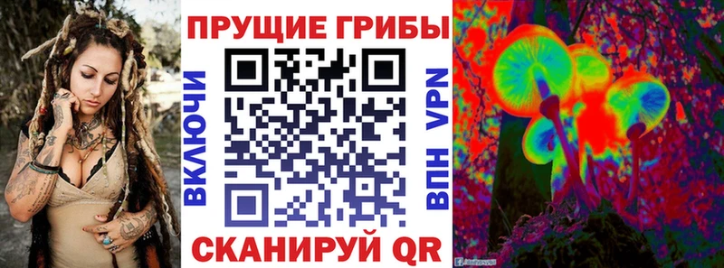 Псилоцибиновые грибы мицелий  Сертолово 