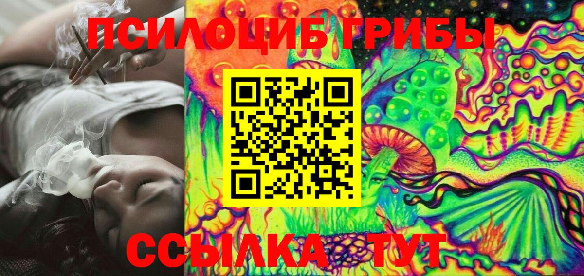 Галлюциногенные грибы Psilocybe Сертолово