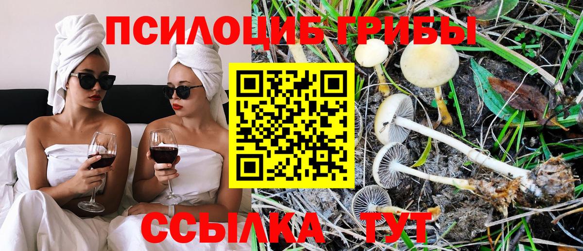 Псилоцибиновые грибы Psilocybine cubensis  Вход с VPN  Сертолово  Галлюциногенные грибы MAGIC MUSHROOMS 